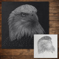 Bald Eagle Portrait Stencil reusable Mylar stencil, 300 x 300 mm