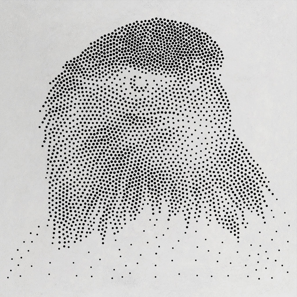 Bald Eagle Portrait Stencil | Realistic Mylar Stipple Wall Art, Crafts (Large - 300mm / 12" approx)