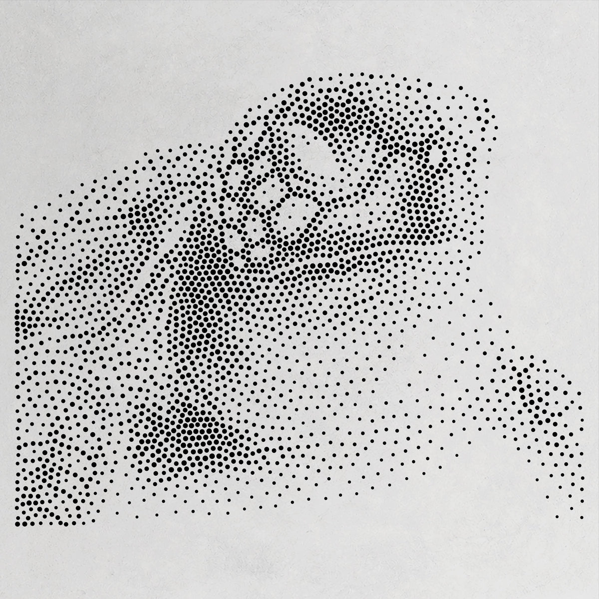 Sea Turtle Portrait Stencil | Realistic Mylar Stipple Wall Art, Crafts (Large - 300mm / 12" approx)