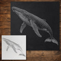 Humpback Whale Stencil reusable Mylar stencil, 300 x 300 mm