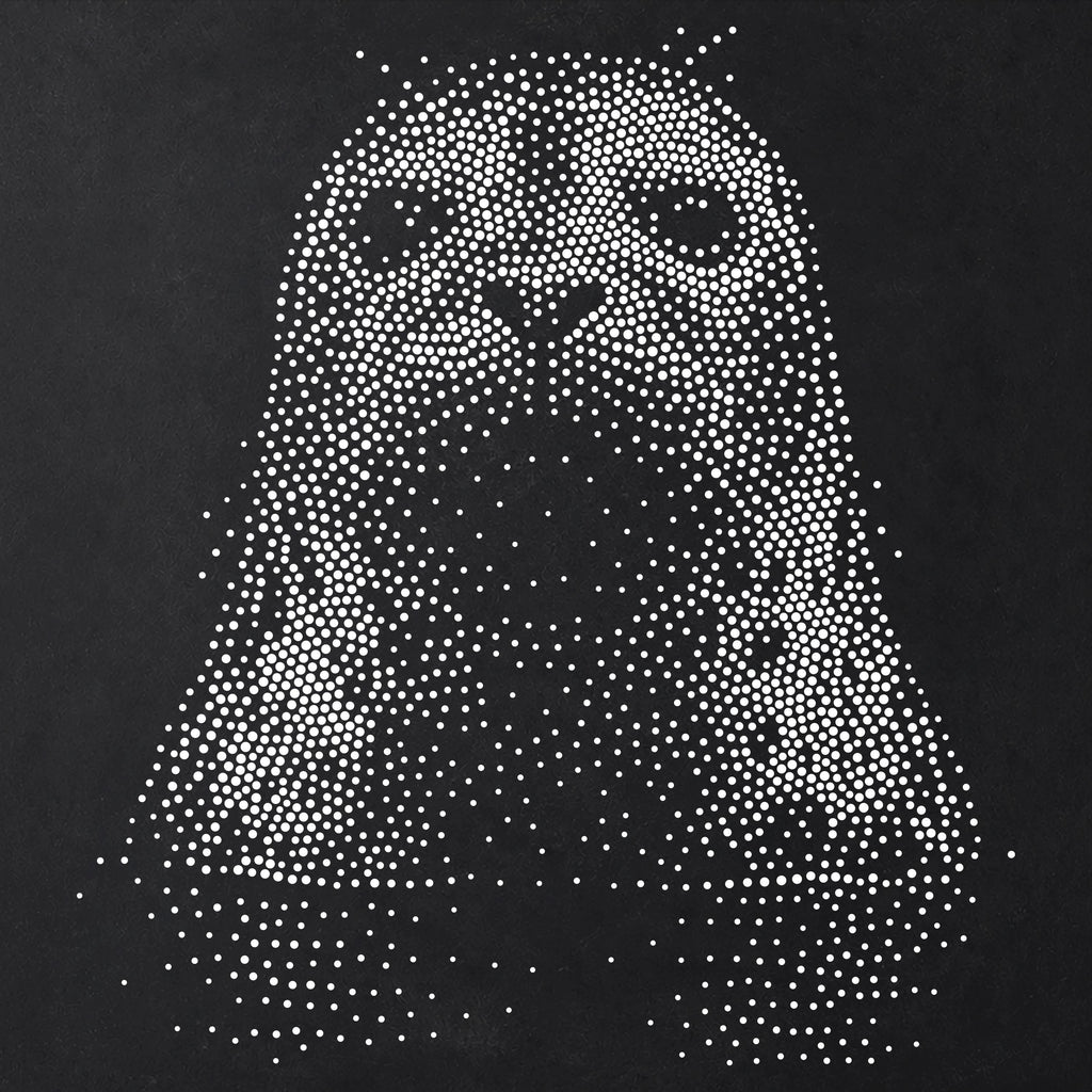 Seal Portrait Stencil | Realistic Mylar Stipple Wall Art, Crafts (Large - 300mm / 12" approx)
