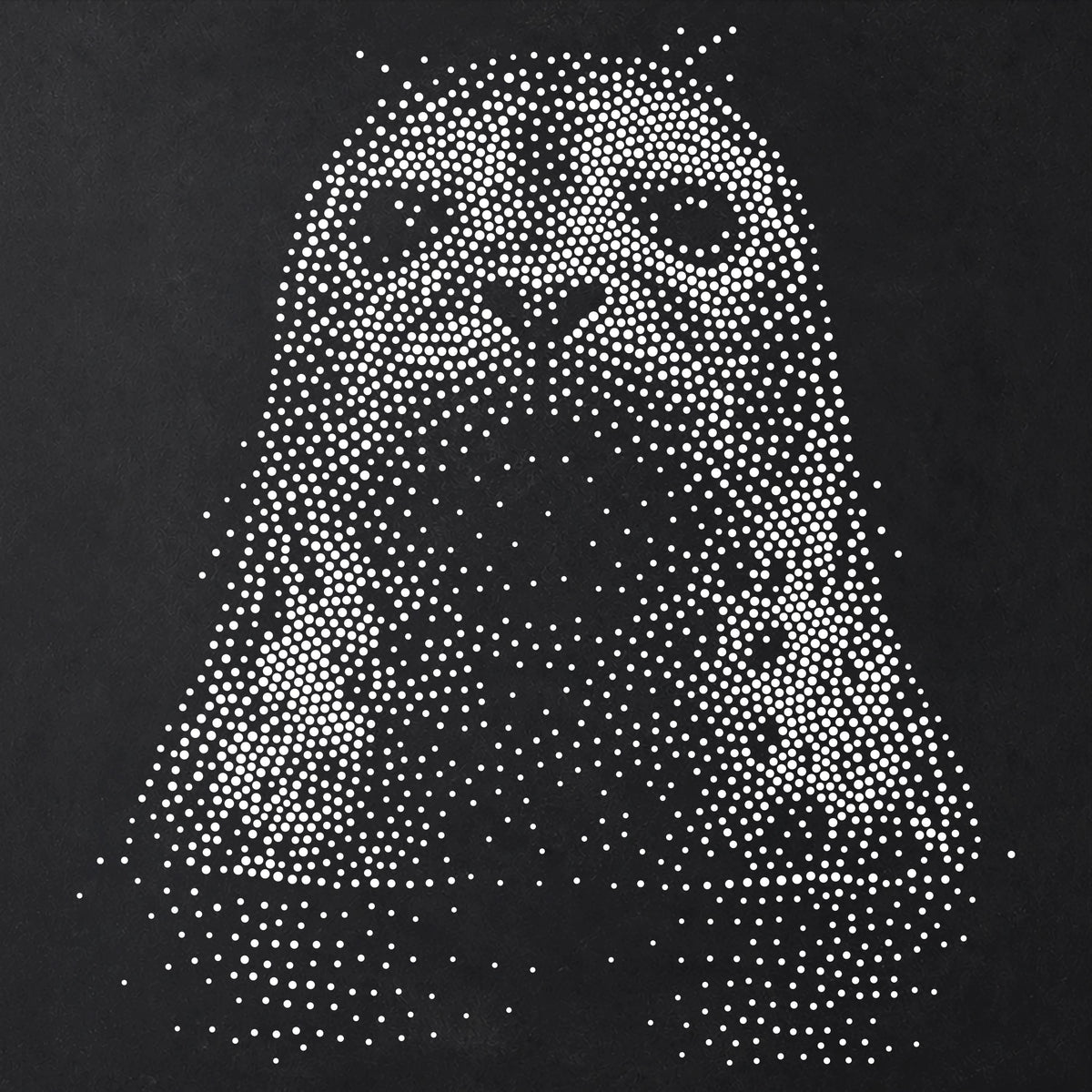 Seal Portrait Stencil | Realistic Mylar Stipple Wall Art, Crafts (Large - 300mm / 12" approx)