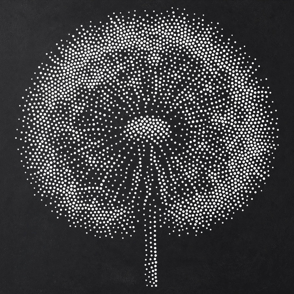 Dandelion Seed Head Stencil | Realistic Mylar Stipple Wall Art, Crafts (Large - 300mm / 12" approx)