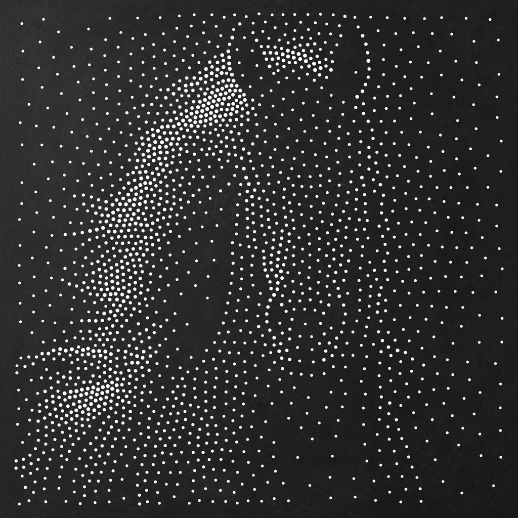 Horse Portrait Stencil | Realistic Mylar Stipple Wall Art, Crafts (Large - 300mm / 12" approx)