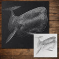 Sperm Whale Stencil reusable Mylar stencil, 300 x 300 mm