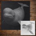 Beluga Whale Stencil reusable Mylar stencil, 300 x 300 mm