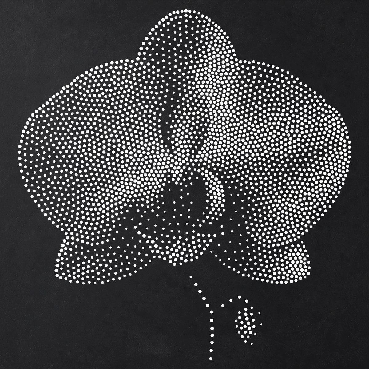 Orchid Flower Stencil | Realistic Mylar Stipple Wall Art, Crafts (Large - 300mm / 12" approx)