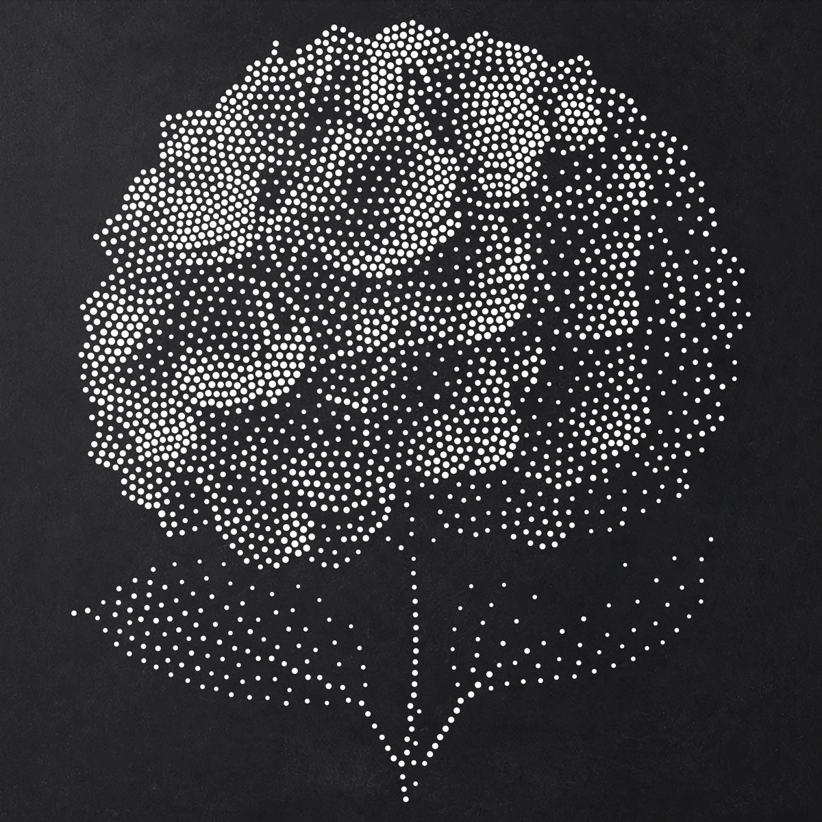 Hydrangea Flower Stencil | Realistic Mylar Stipple Wall Art, Crafts (Large - 300mm / 12" approx)