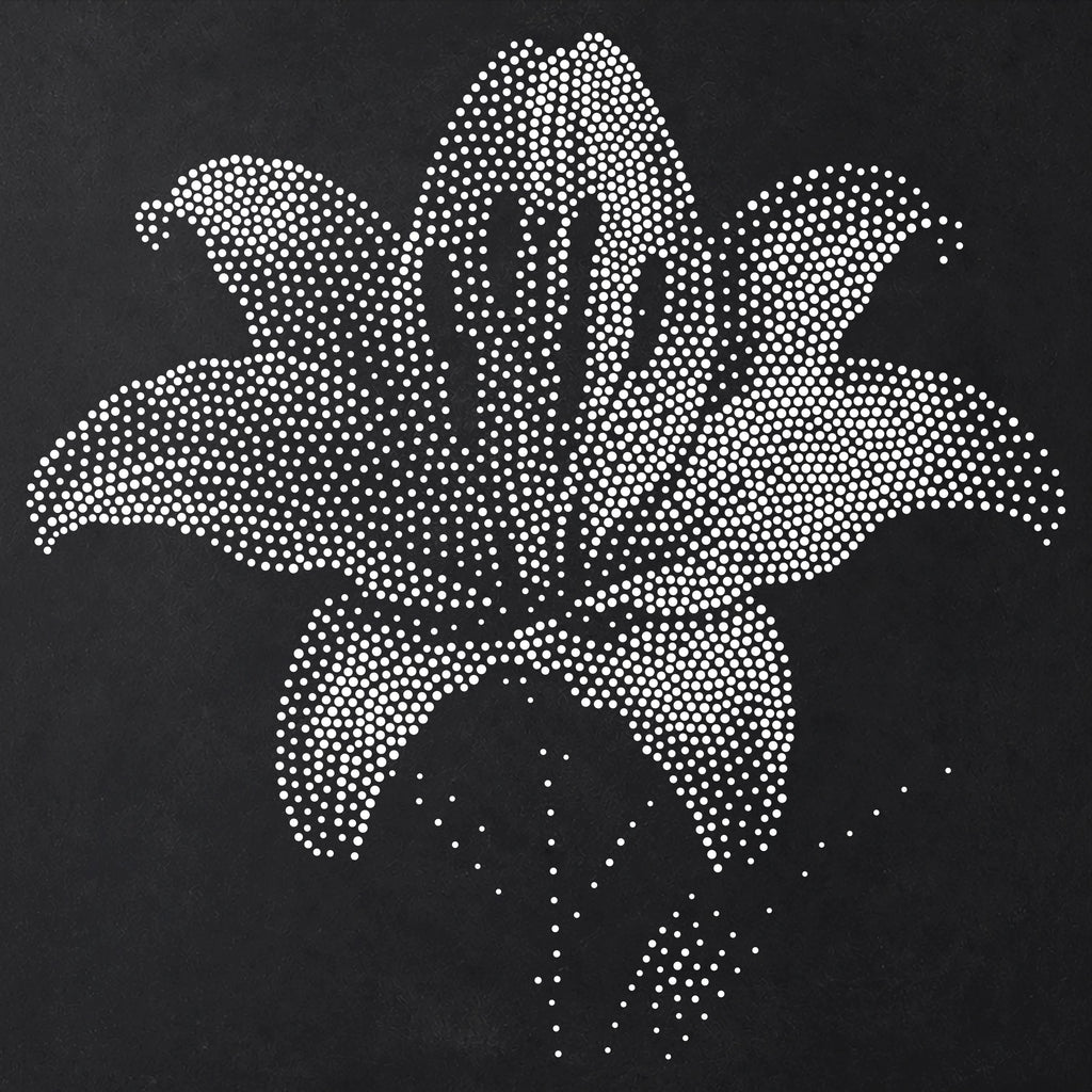Lily Flower Stencil | Realistic Mylar Stipple Wall Art, Crafts (Large - 300mm / 12" approx)