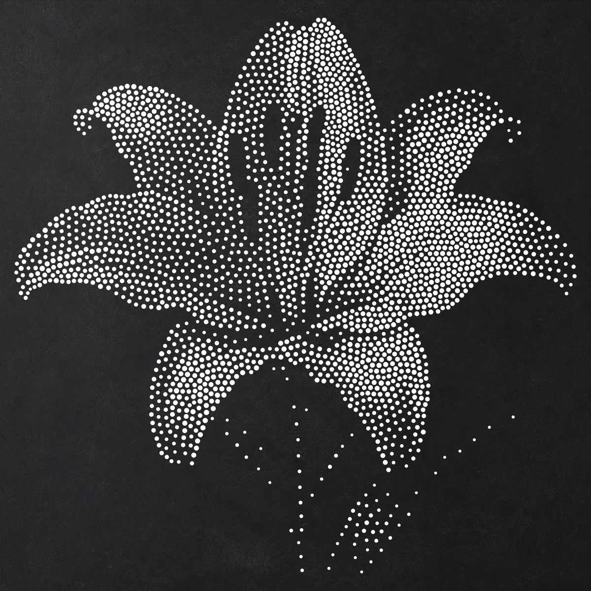 Lily Flower Stencil | Realistic Mylar Stipple Wall Art, Crafts (Large - 300mm / 12" approx)