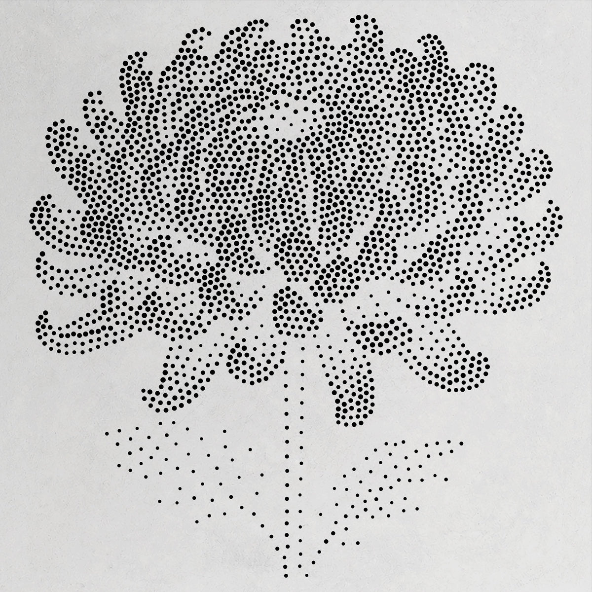 Chrysanthemum Flower Stencil | Realistic Mylar Stipple Wall Art, Crafts (Large - 300mm / 12" approx)