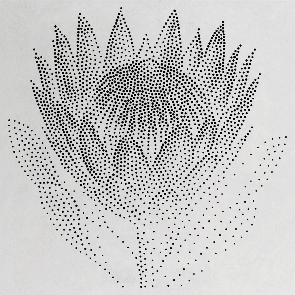 Protea Flower Stencil | Realistic Mylar Stipple Wall Art, Crafts (Large - 300mm / 12" approx)