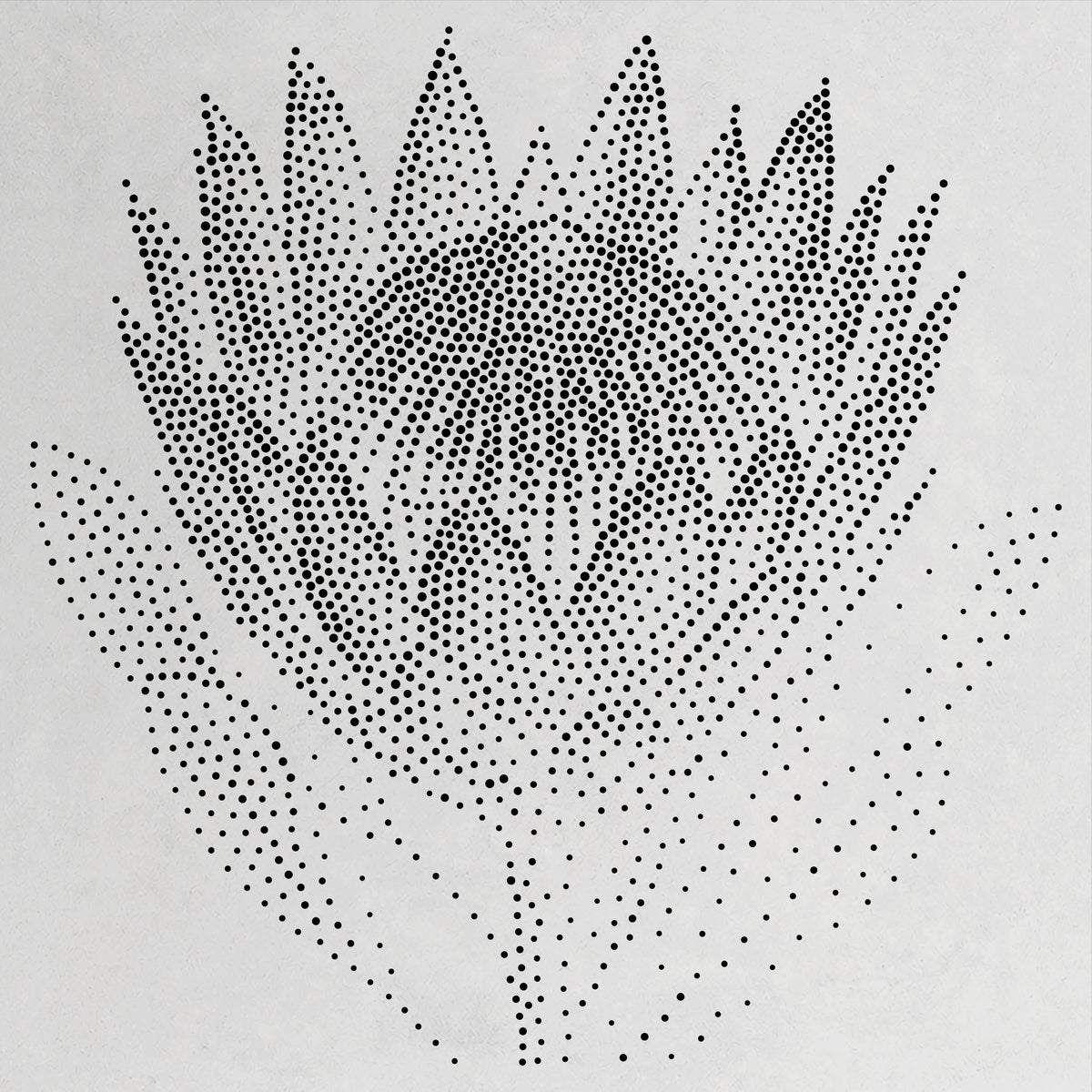 Protea Flower Stencil | Realistic Mylar Stipple Wall Art, Crafts (Large - 300mm / 12" approx)