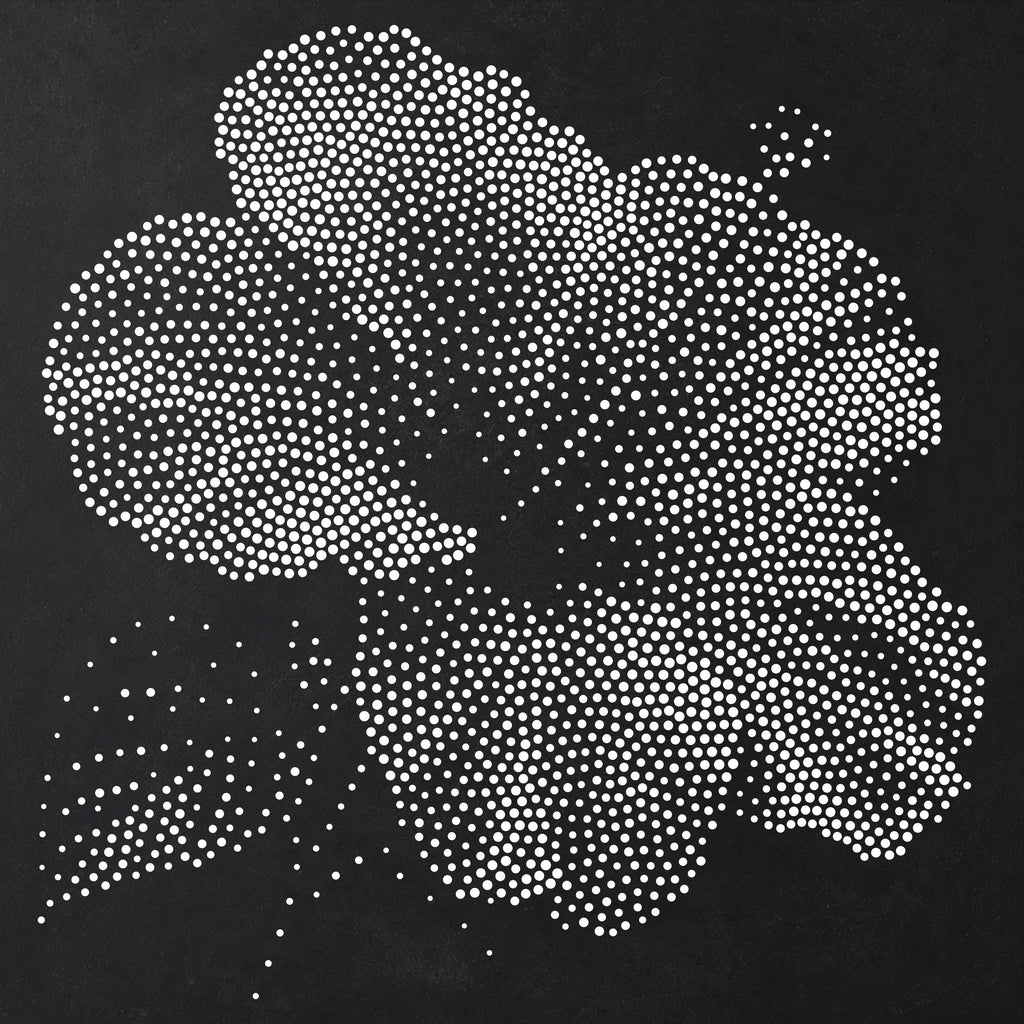 Hibiscus Flower Stencil | Realistic Mylar Stipple Wall Art, Crafts (Large - 300mm / 12" approx)