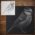 Blue Tit Bird Stencil reusable Mylar stencil, 300 x 300 mm