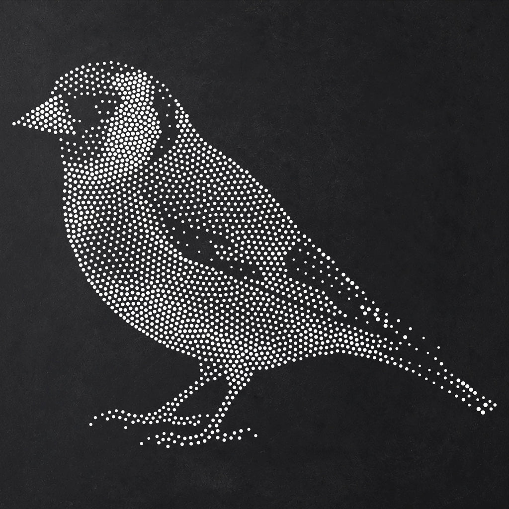 Goldfinch Bird Stencil | Realistic Mylar Stipple Wall Art, Crafts (Large - 300mm / 12" approx)