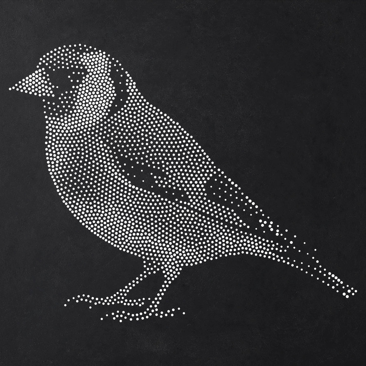 Goldfinch Bird Stencil | Realistic Mylar Stipple Wall Art, Crafts (Large - 300mm / 12" approx)