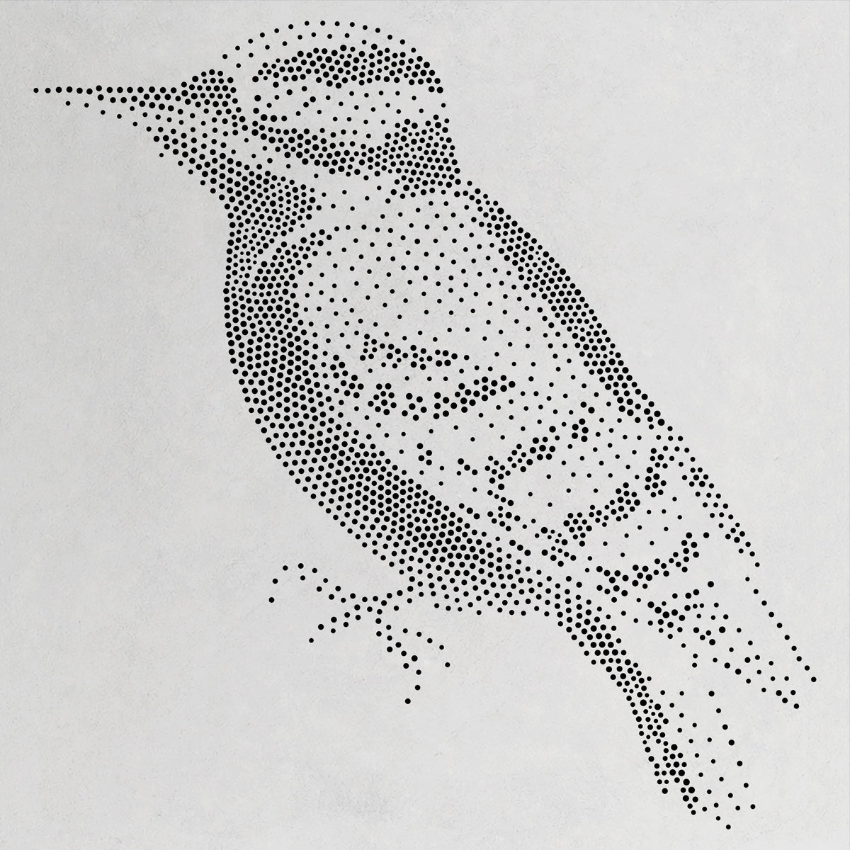 Woodpecker Bird Stencil | Realistic Mylar Stipple Wall Art, Crafts (Large - 300mm / 12" approx)