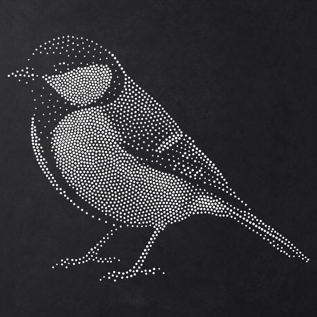 Great Tit Bird Stencil | Realistic Mylar Stipple Wall Art, Crafts (Large - 300mm / 12" approx)
