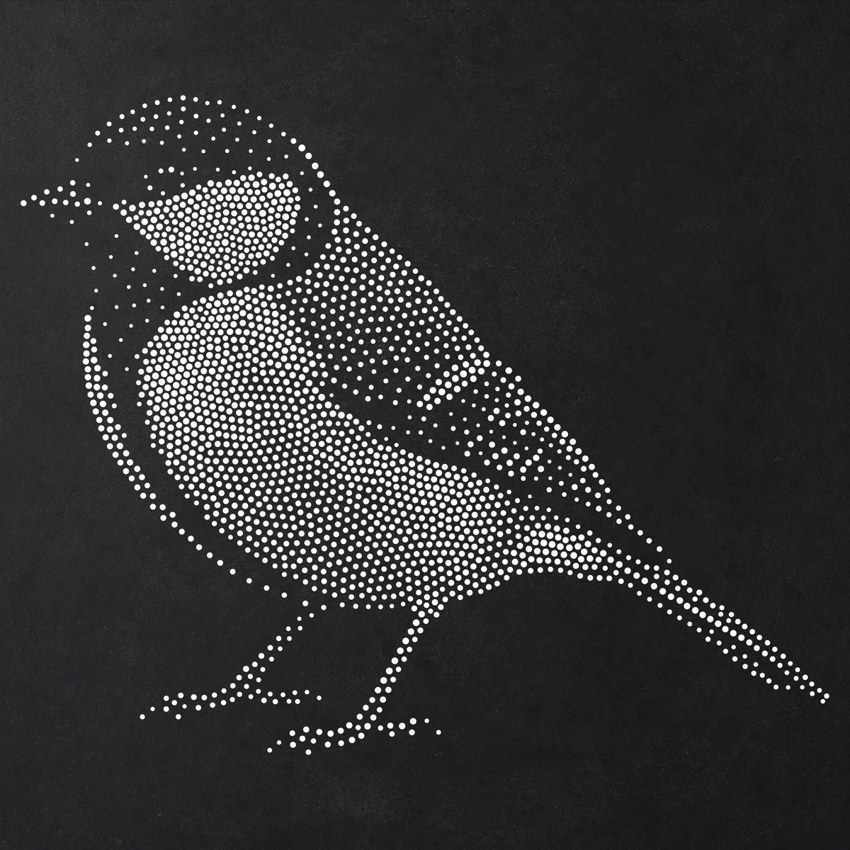 Great Tit Bird Stencil | Realistic Mylar Stipple Wall Art, Crafts (Large - 300mm / 12" approx)