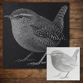 Wren Bird Stencil reusable Mylar stencil, 300 x 300 mm