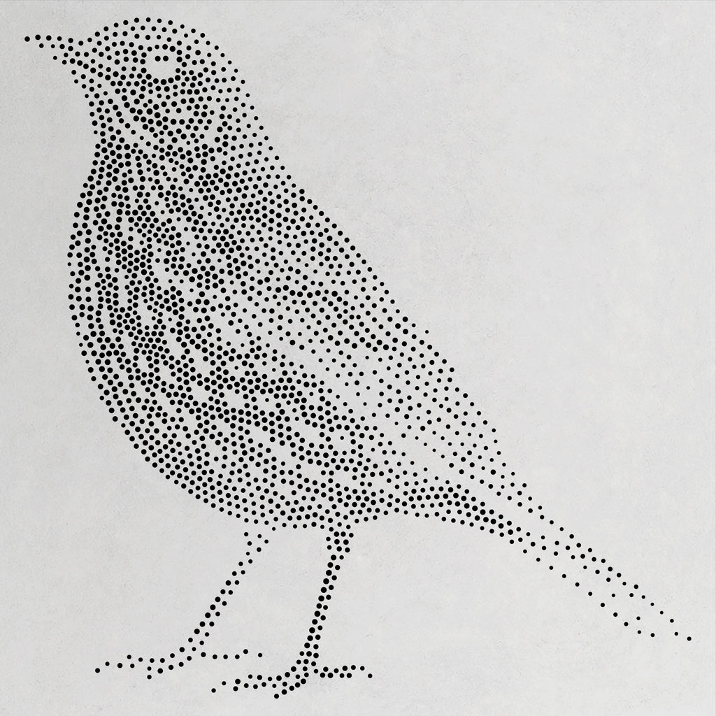Song Thrush Bird Stencil | Realistic Mylar Stipple Wall Art, Crafts (Large - 300mm / 12" approx)
