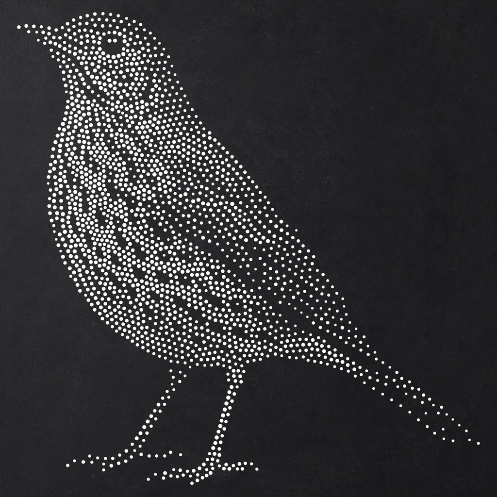 Song Thrush Bird Stencil | Realistic Mylar Stipple Wall Art, Crafts (Large - 300mm / 12" approx)