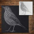 Song Thrush Bird Stencil reusable Mylar stencil, 300 x 300 mm
