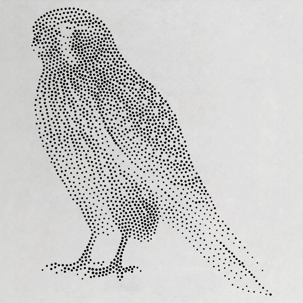 Kestrel Bird of Prey Stencil | Realistic Mylar Stipple Wall Art, Crafts (Large - 300mm / 12" approx)