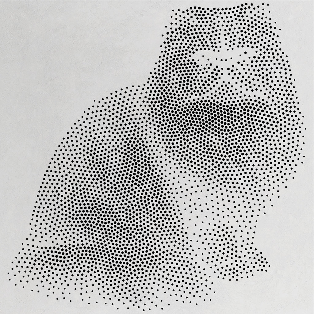 Persian Cat Stencil | Realistic Mylar Stipple Wall Art, Crafts (Large - 300mm / 12" approx)