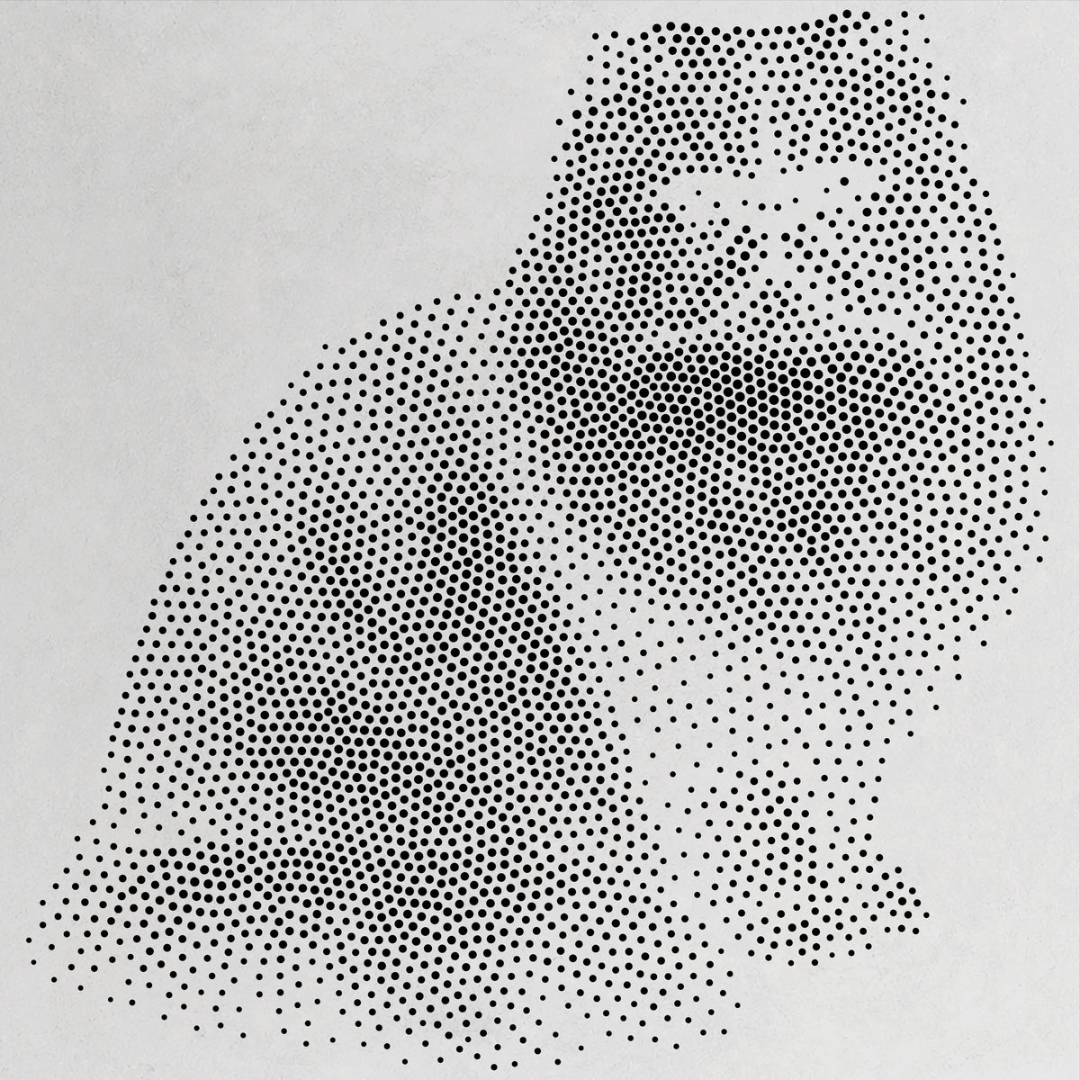 Persian Cat Stencil | Realistic Mylar Stipple Wall Art, Crafts (Large - 300mm / 12" approx)