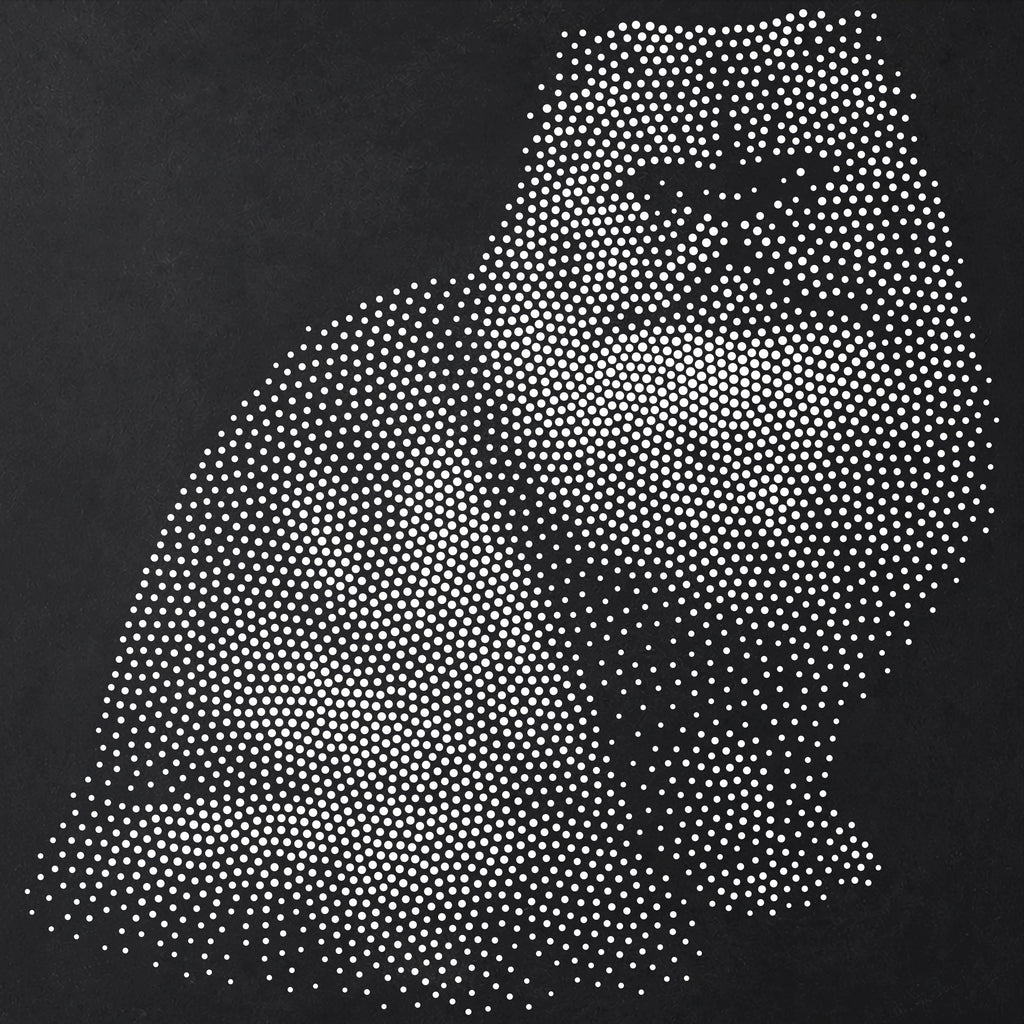 Persian Cat Stencil | Realistic Mylar Stipple Wall Art, Crafts (Large - 300mm / 12" approx)