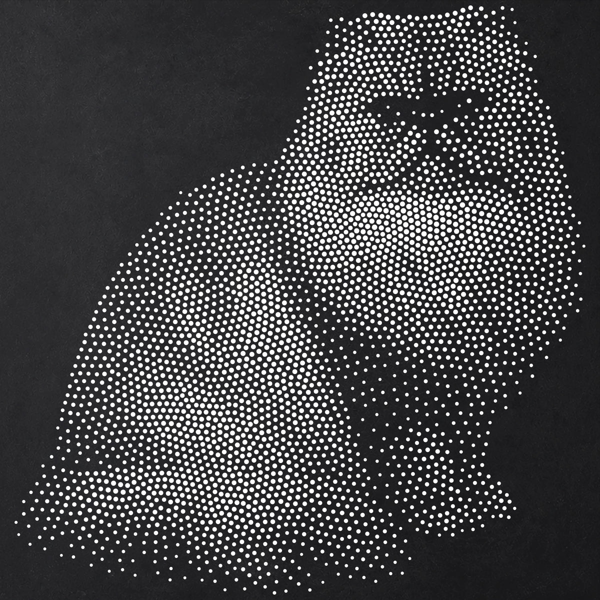 Persian Cat Stencil | Realistic Mylar Stipple Wall Art, Crafts (Large - 300mm / 12" approx)
