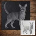 Abyssinian Cat Stencil reusable Mylar stencil, 300 x 300 mm