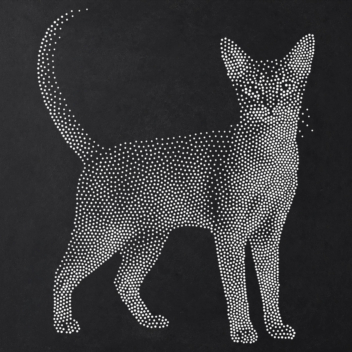 Abyssinian Cat Stencil | Realistic Mylar Stipple Wall Art, Crafts (Large - 300mm / 12" approx)