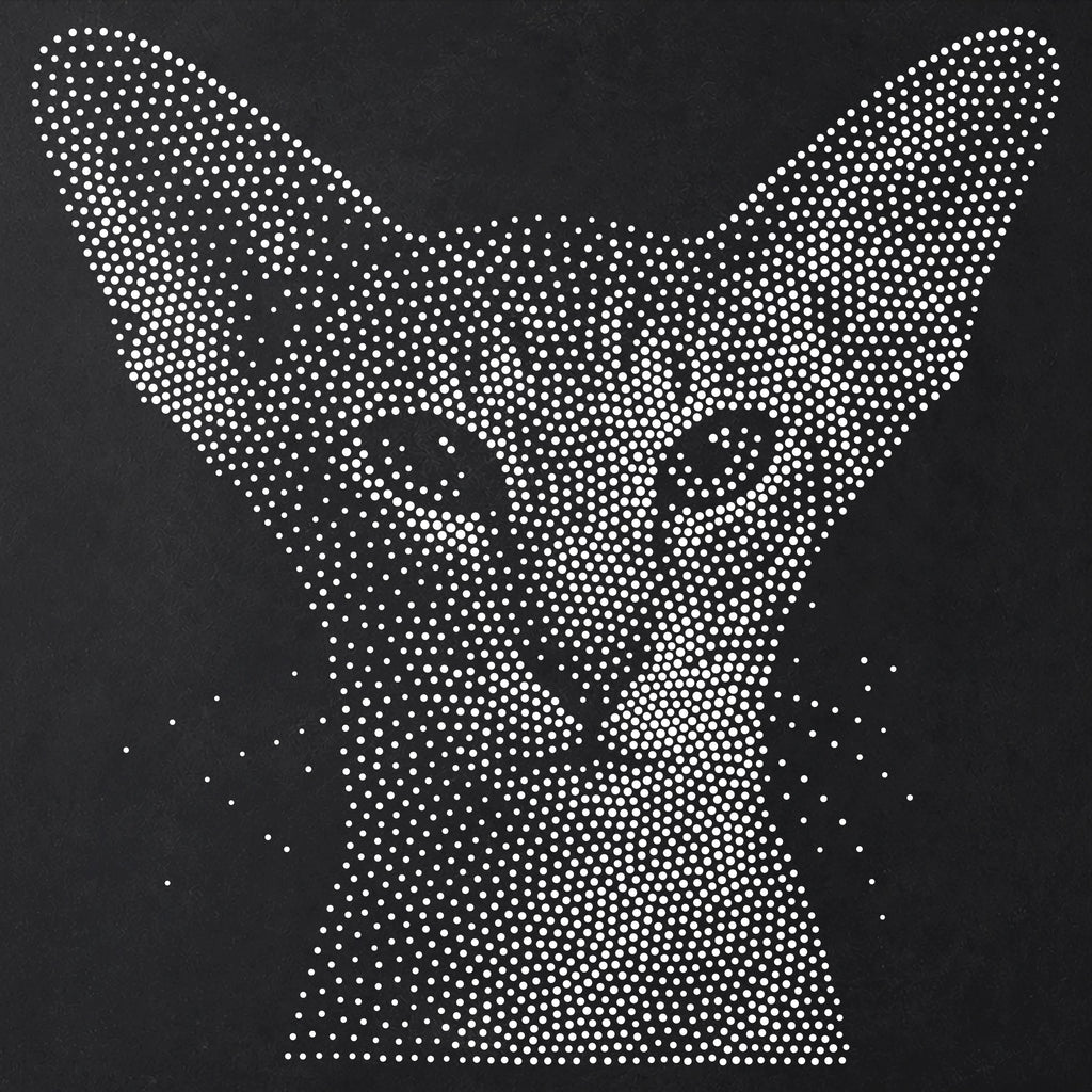 Oriental Shorthair Cat Stencil | Realistic Mylar Stipple Wall Art, Crafts (Large - 300mm / 12" approx)