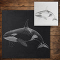 Orca Killer Whale Stencil reusable Mylar stencil, 300 x 300 mm