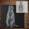 Meercat Stencil reusable Mylar stencil, 300 x 300 mm