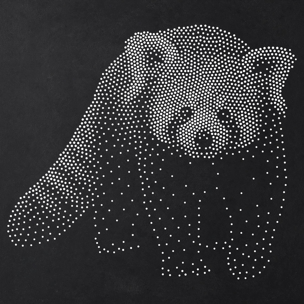 Red Panda Stencil | Realistic Mylar Stipple Wall Art, Crafts (Large - 300mm / 12" approx)