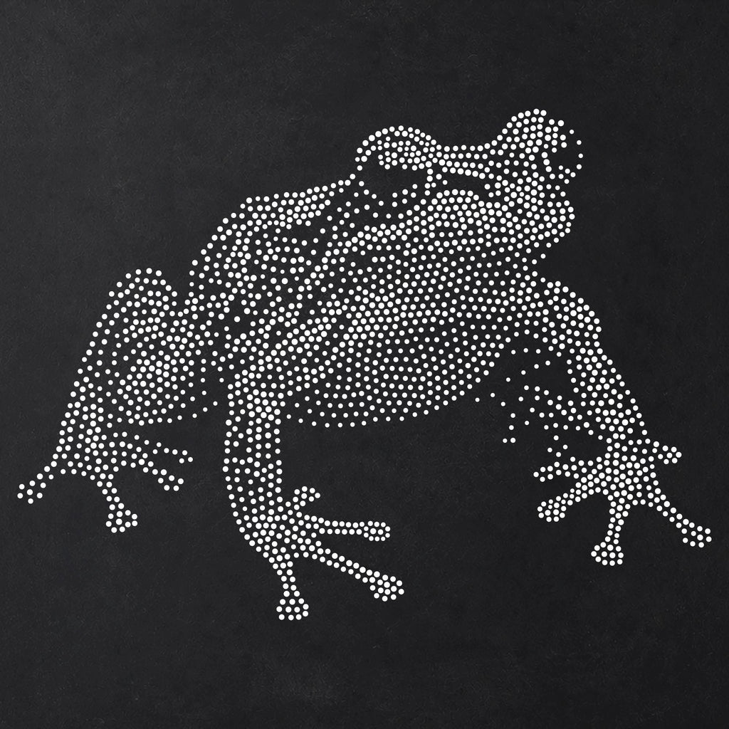 Frog Stencil | Realistic Mylar Stipple Wall Art, Crafts (Large - 300mm / 12" approx)