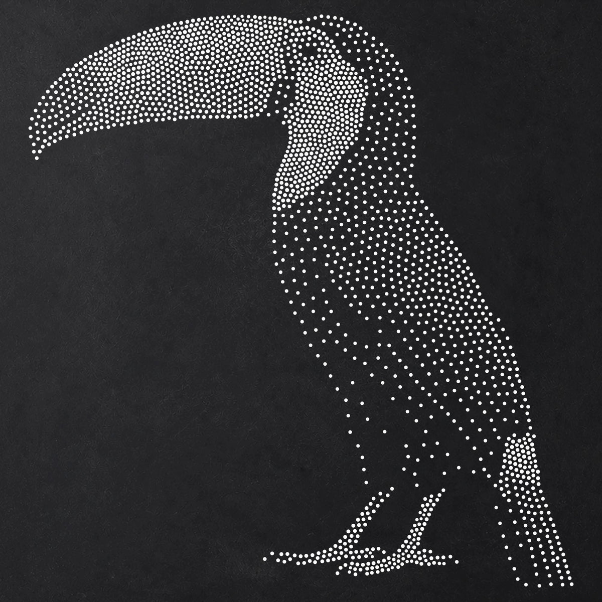 Toucan Stencil | Realistic Mylar Stipple Wall Art, Crafts (Large - 300mm / 12" approx)