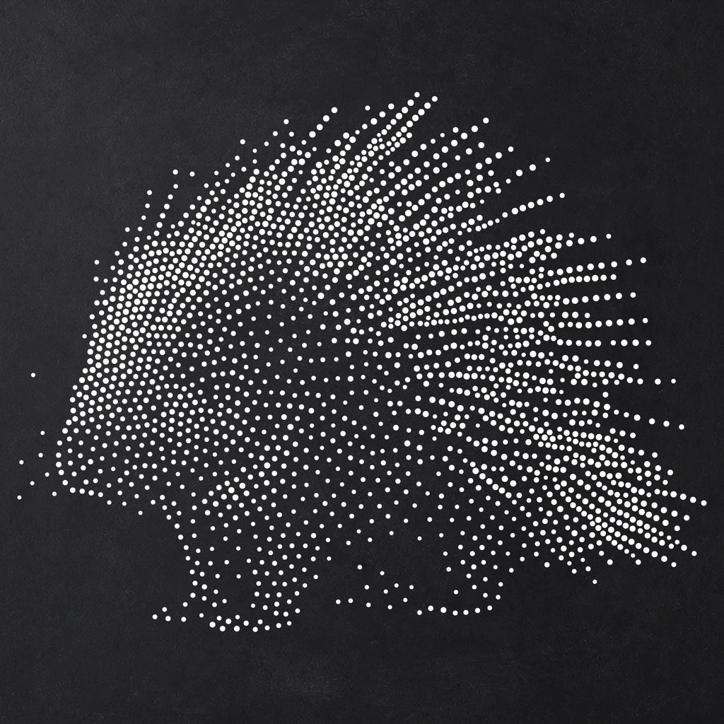 Porcupine Stencil | Realistic Mylar Stipple Wall Art, Crafts (Large - 300mm / 12" approx)