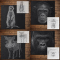 Safari Stencil Bundle #3 reusable Mylar stencil bundle, 300 x 300 mm