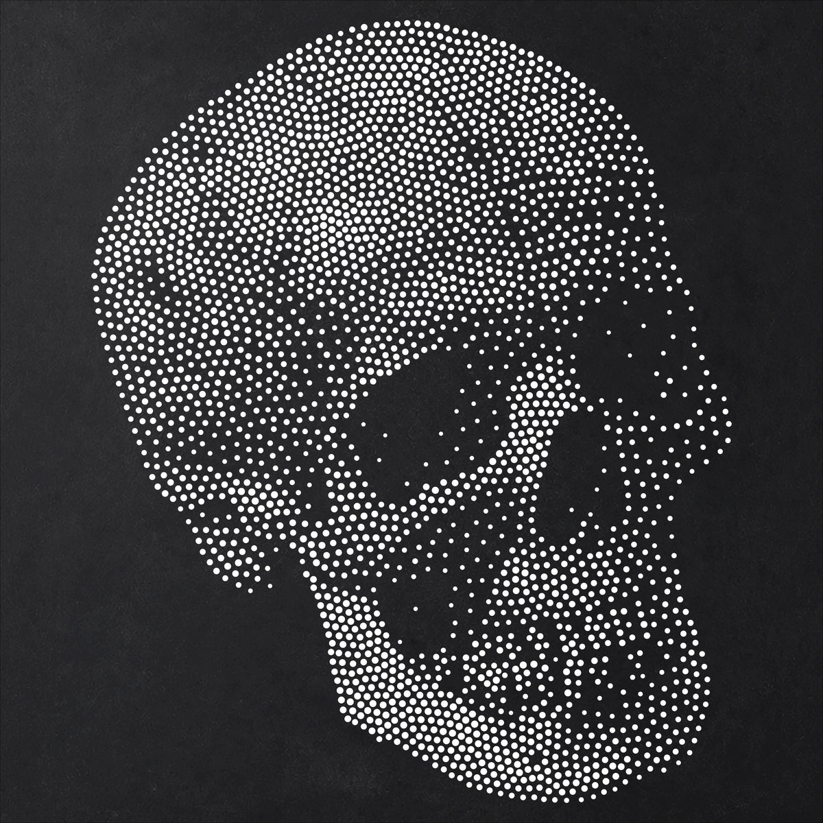Human Skull #1 Stencil | Realistic Highly Detailed DIY Mylar Wall Art, Stipple Art Crafts (Large - 300mm / 12" approx)
