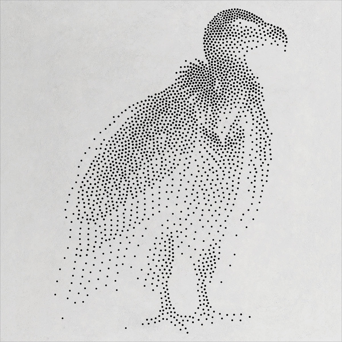Vulture Bird Stencil | Realistic Mylar Stipple Wall Art, Crafts (Large - 300mm / 12" approx)