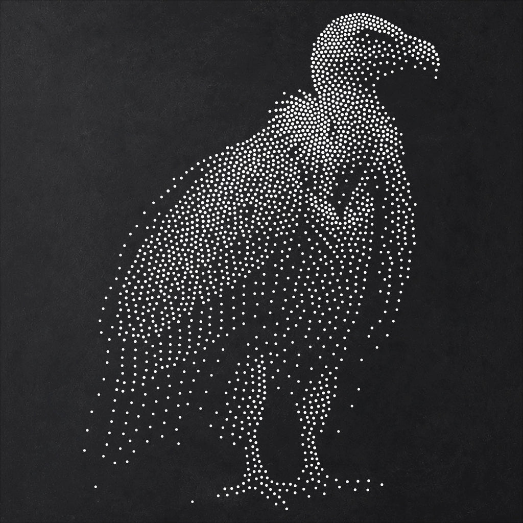 Vulture Bird Stencil | Realistic Mylar Stipple Wall Art, Crafts (Large - 300mm / 12" approx)