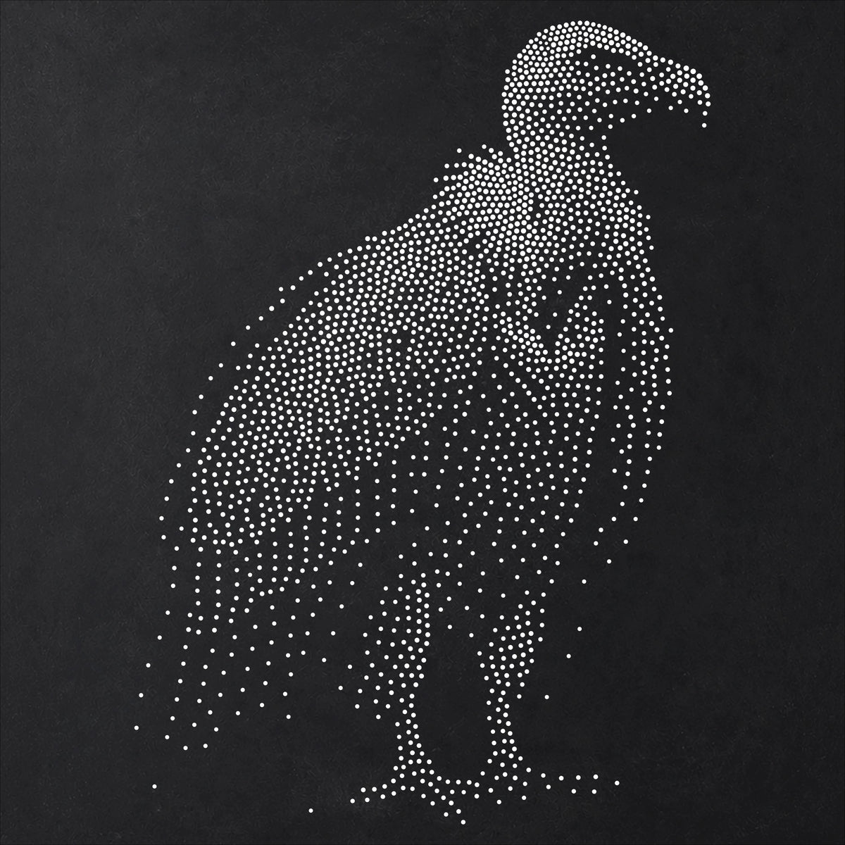 Vulture Bird Stencil | Realistic Mylar Stipple Wall Art, Crafts (Large - 300mm / 12" approx)