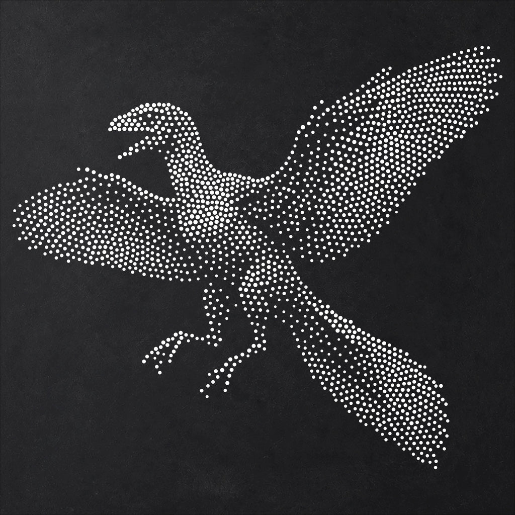 Archaeopteryx Dinosaur Stencil | Realistic Mylar Stipple Wall Art, Crafts (Large - 300mm / 12" approx)