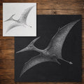 Pteranodon Pterosaur Stencil reusable Mylar stencil, 300 x 300 mm