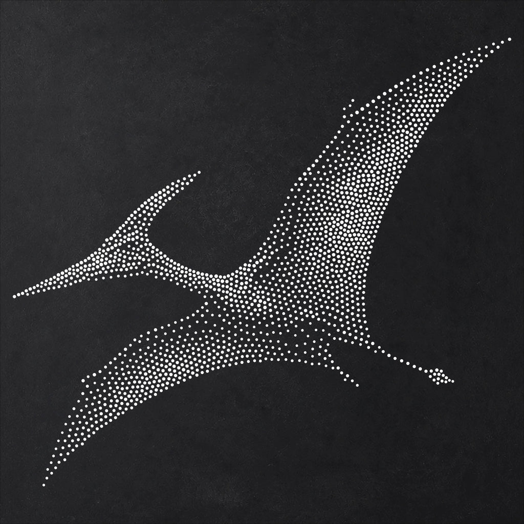 Pteranodon Pterosaur Stencil | Realistic Mylar Stipple Wall Art, Crafts (Large - 300mm / 12" approx)